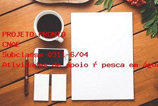 CNAE Atividades de apoio  pesca em gua salgada CNAE Subclasse 0311-6/04