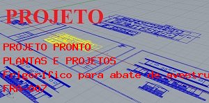 Como Montar Frigorfico para abate de avestruz com capacidade para abate de 125 animais/dia.