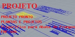 Como Montar Frigorfico para Abate de Frangos com capacidade para abate de 20.000 aves/dia.