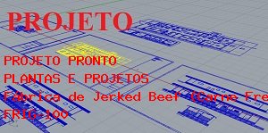 Como Montar Fbrica de Jerked Beef (Carne Fresca Salgada), com recepo de carne desossada, com capacidade para 3.000 quilos por dia.
