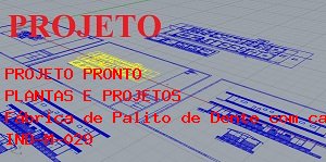 Como Montar Fbrica de Palito de Dente com capacidade para 300 Kg/dia.