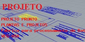 Como Montar Fbrica para processamento de Batatas Fritas, fabricadas a partir de massa de batatas, com capacidade para 5.000 kg por dia e rea de 2500 m